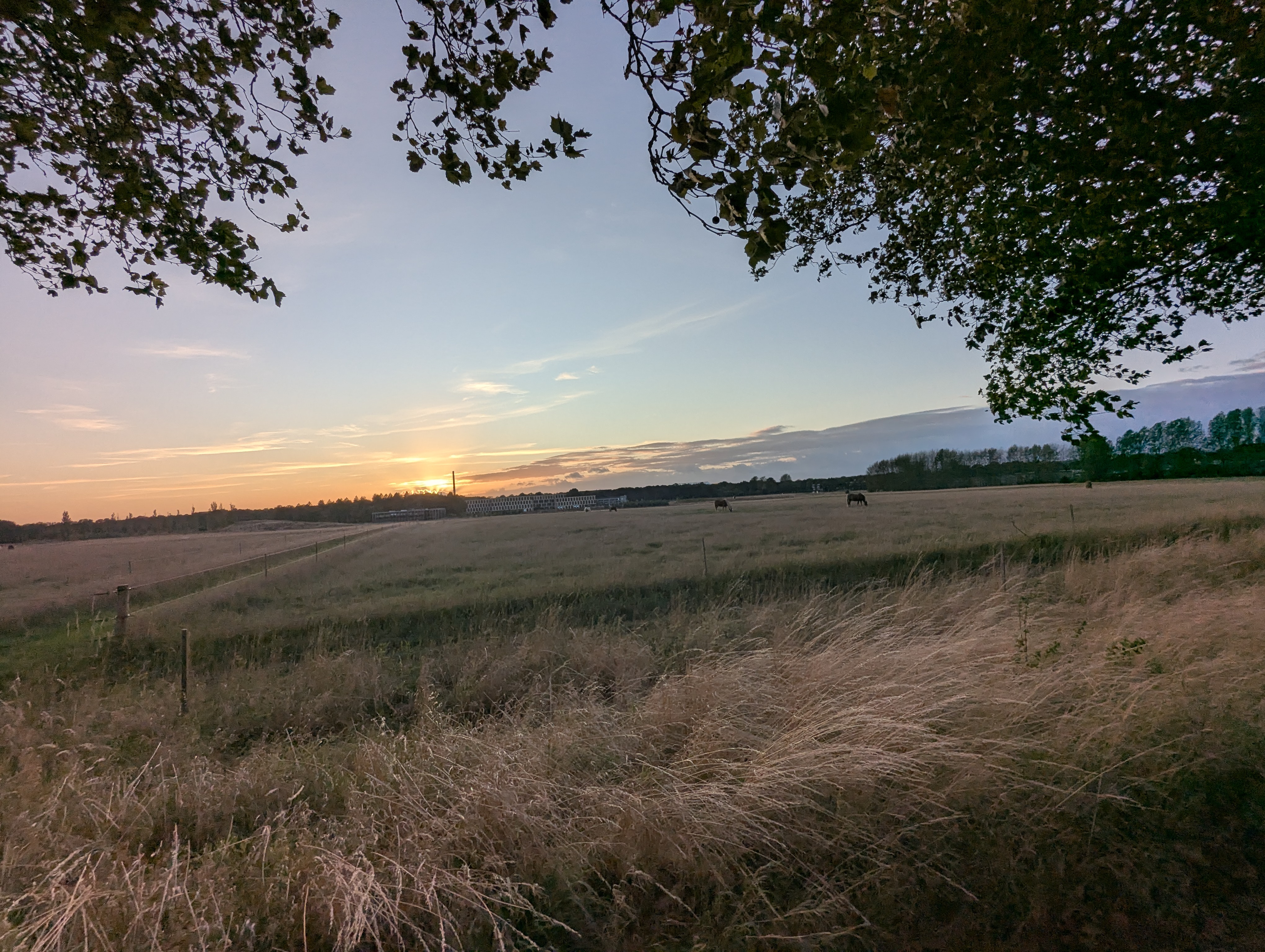 Lyngby,DTU, SSPC, Truls Norby, Denmark